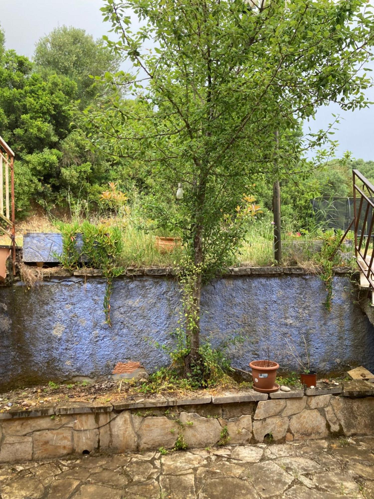 Kokkini Peach Budget Kokkínion Exterior foto